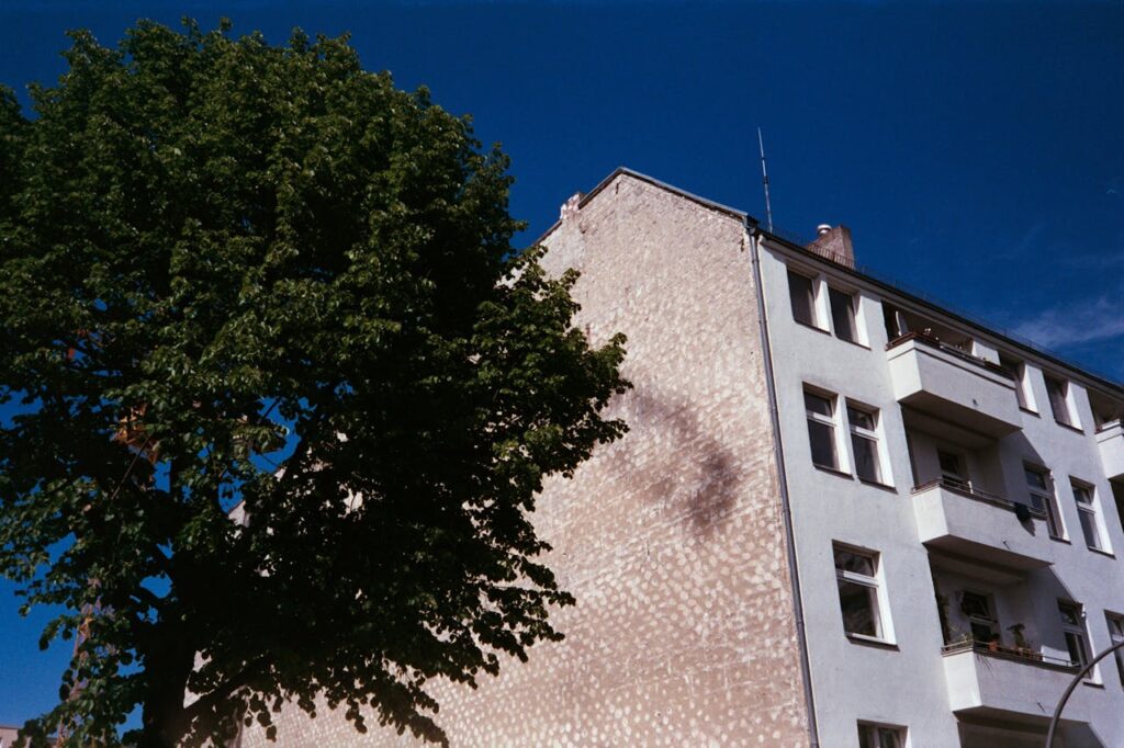 A tree is on the left and a multi-family property that was purchased using DSCR loans for property investment is on the right. 